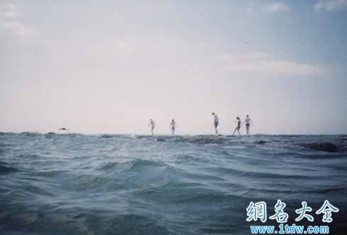 点击查看大图